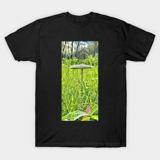 "Toadstool" by Margo Humphries T-Shirt